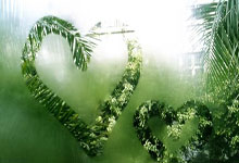 天涯论坛再曝肖战黑料，粉丝傻眼了！